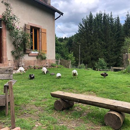 A L'Oree De Soi - Maison Forestiere De La Soie - Eco Gite, Chambres D'Hotes, Camping Au Pied Des Vosges Saint-Sauveur  Bagian luar foto