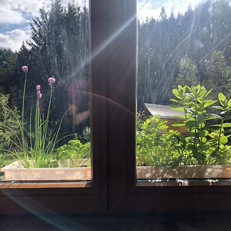 A L'Oree De Soi - Maison Forestiere De La Soie - Eco Gite, Chambres D'Hotes, Camping Au Pied Des Vosges Saint-Sauveur  Bagian luar foto