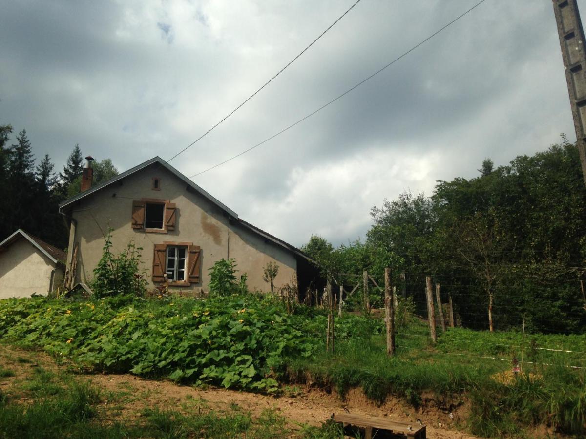 A L'Oree De Soi - Maison Forestiere De La Soie - Eco Gite, Chambres D'Hotes, Camping Au Pied Des Vosges Saint-Sauveur  Bagian luar foto