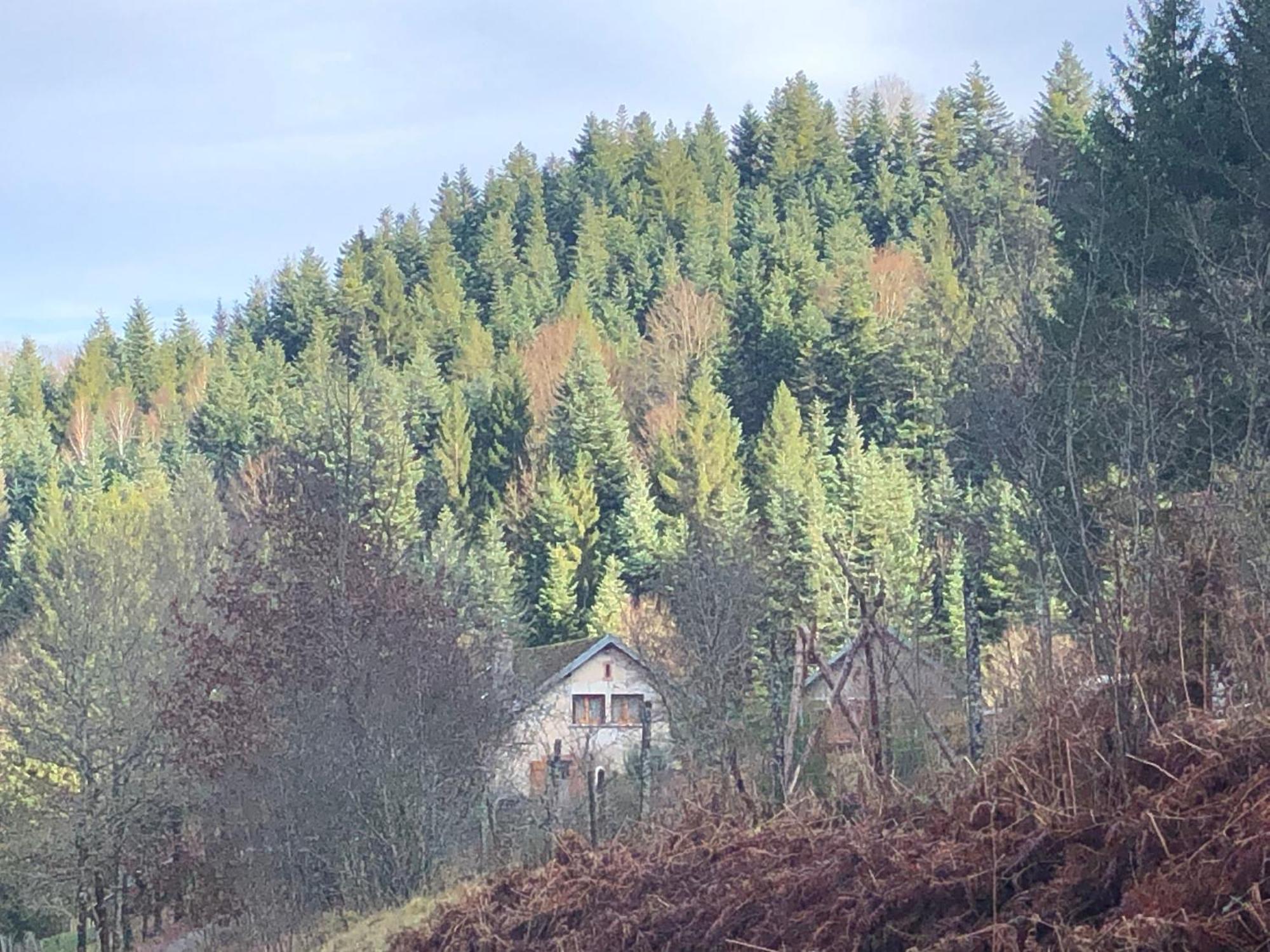 A L'Oree De Soi - Maison Forestiere De La Soie - Eco Gite, Chambres D'Hotes, Camping Au Pied Des Vosges Saint-Sauveur  Bagian luar foto