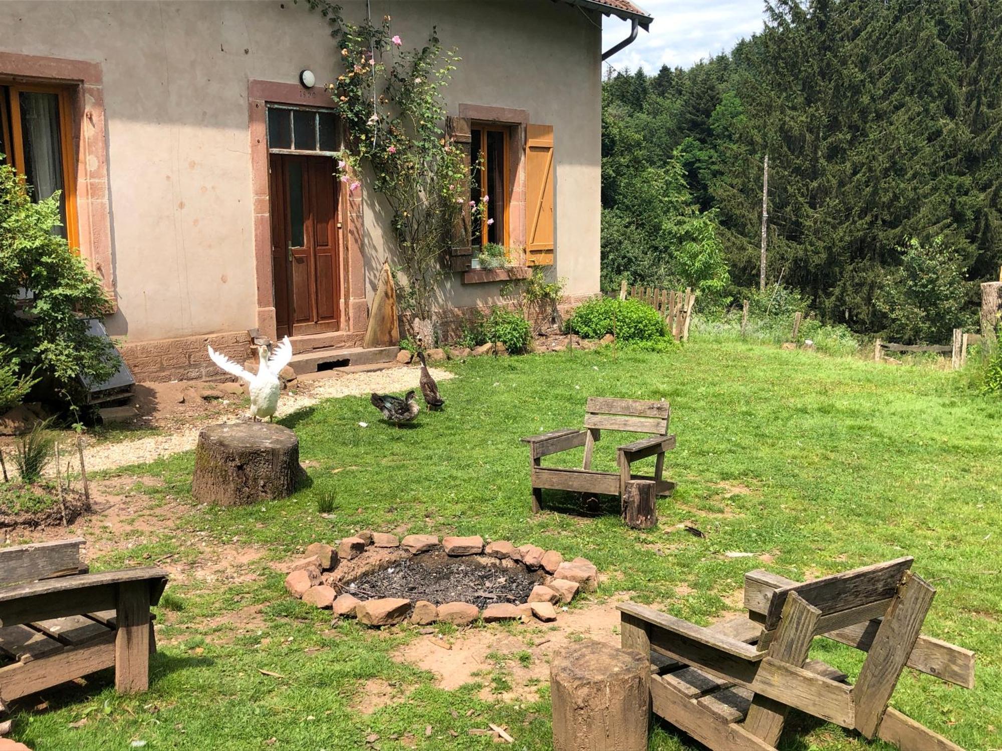 A L'Oree De Soi - Maison Forestiere De La Soie - Eco Gite, Chambres D'Hotes, Camping Au Pied Des Vosges Saint-Sauveur  Bagian luar foto