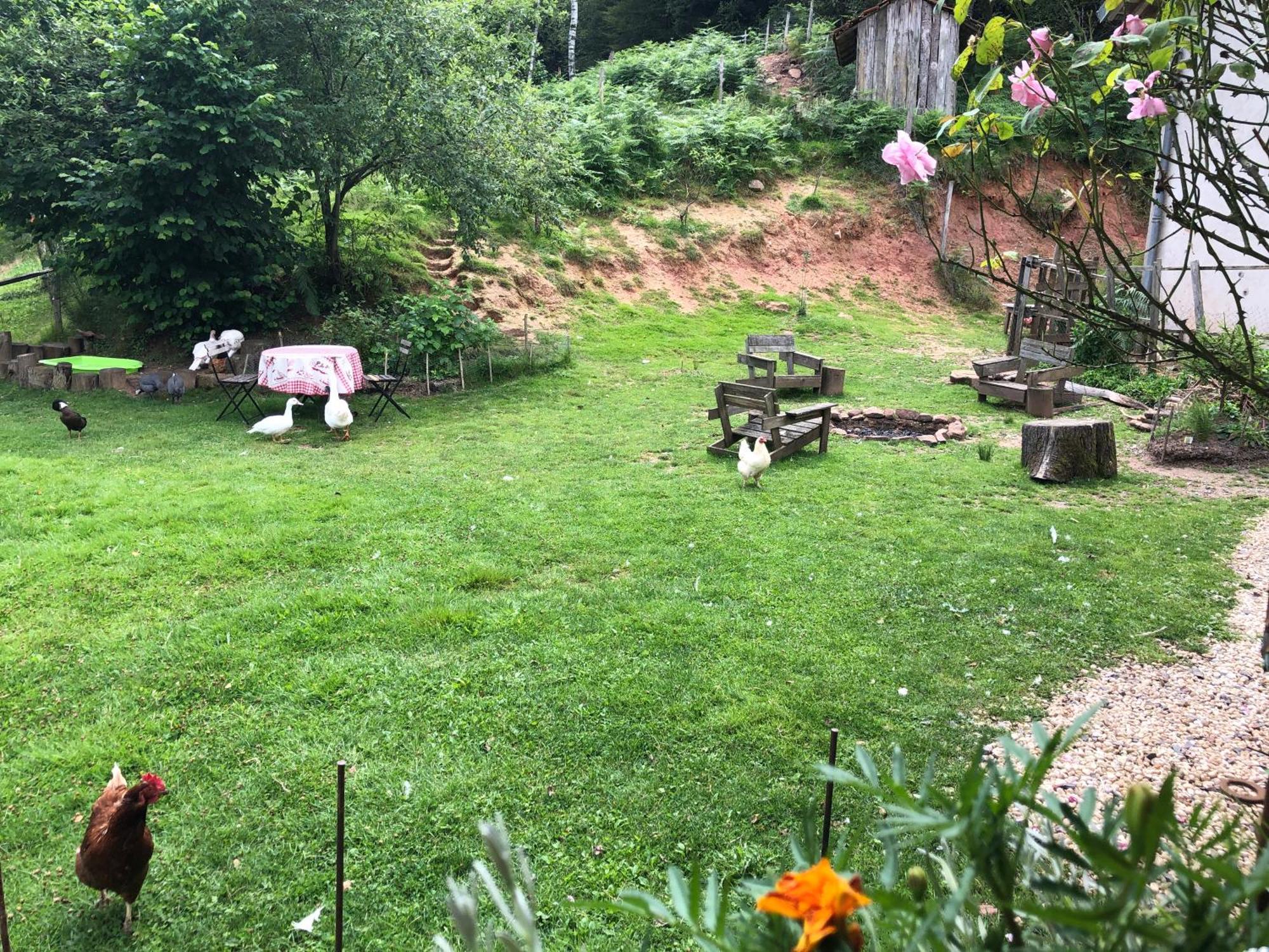 A L'Oree De Soi - Maison Forestiere De La Soie - Eco Gite, Chambres D'Hotes, Camping Au Pied Des Vosges Saint-Sauveur  Bagian luar foto